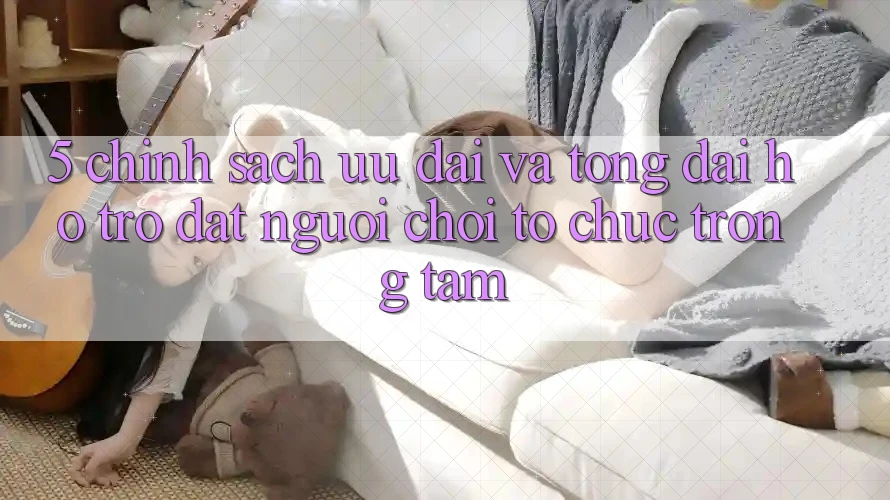 5. Chính Sách Ưu đãi Và Tổng đài hỗ trợ: Đặt Người Chơi Tổ chức Trọng Tâm