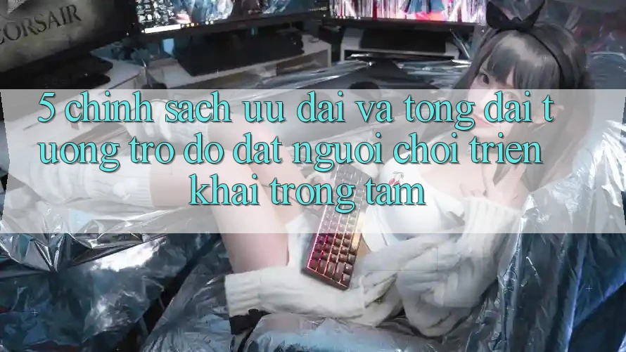 5. Chính Sách Ưu đãi Và Tổng đài tương trợ đỡ: Đặt Người Chơi Triển khai Trọng Tâm