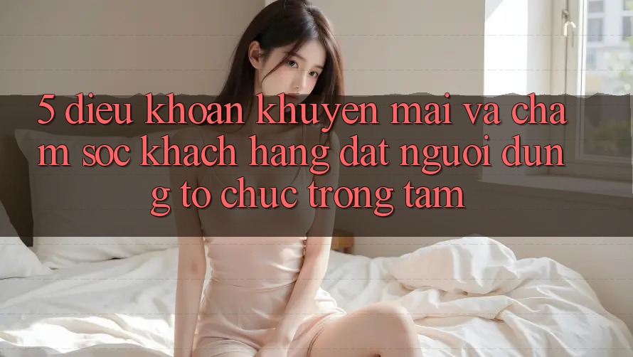 5. Điều khoản Khuyến Mãi Và Chăm Sóc Khách Hàng: Đặt Người dùng Tổ chức Trọng Tâm 5. Điều khoản Khuyến Mãi Và Chăm Sóc Khách Hàng: Đặt Người dùng Tổ chức Trọng Tâm