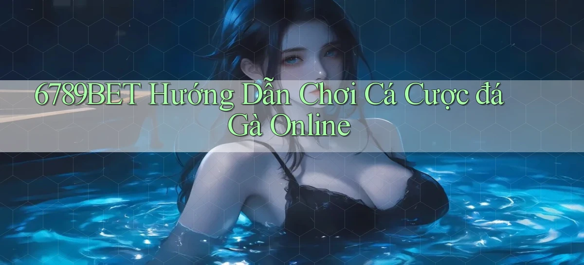 6789bet  hướng dẫn chơi cá cược đá gà online