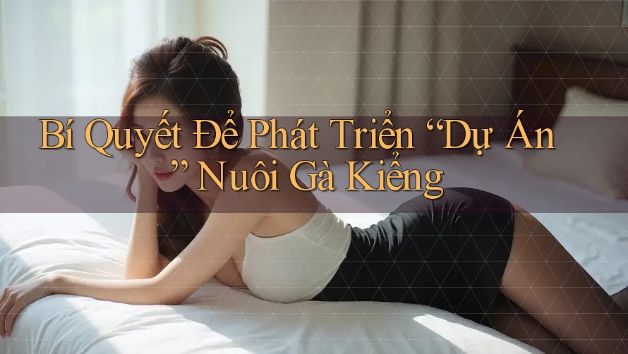 Bí Quyết Để Phát Triển “Dự Án” Nuôi Gà Kiểng Bí Quyết Để Phát Triển “Dự Án” Nuôi Gà Kiểng