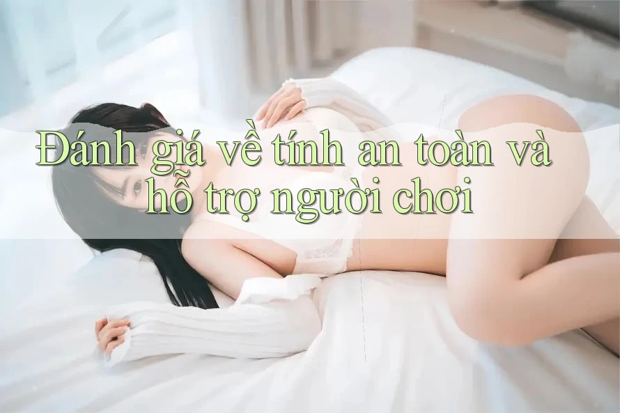 Đánh giá về tính an toàn và hỗ trợ người chơi