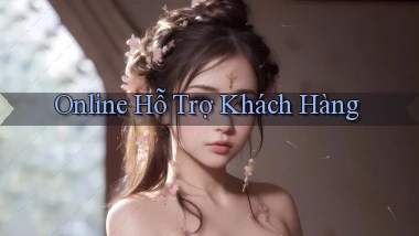 Online Hỗ trợ khách hàng