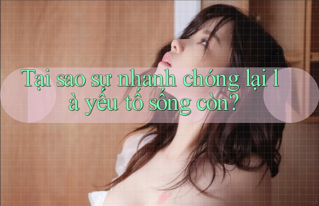 Tại sao sự nhanh chóng lại là yếu tố sống còn?