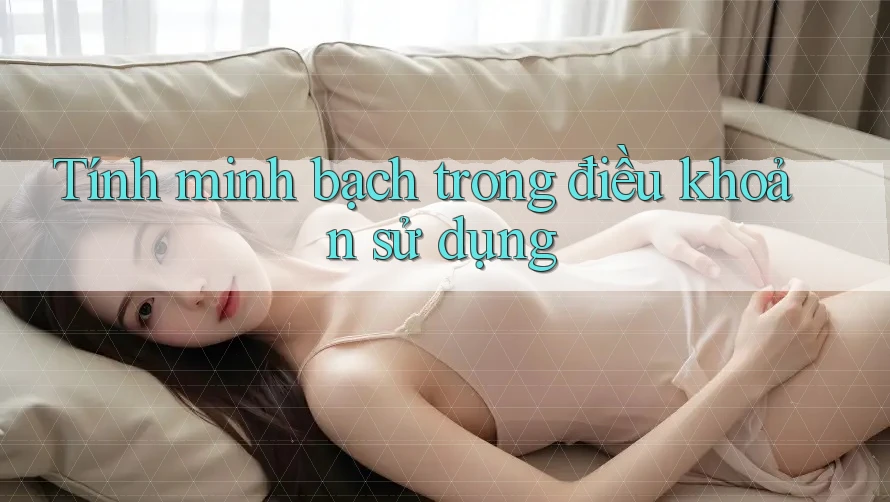 Tính minh bạch trong điều khoản sử dụng